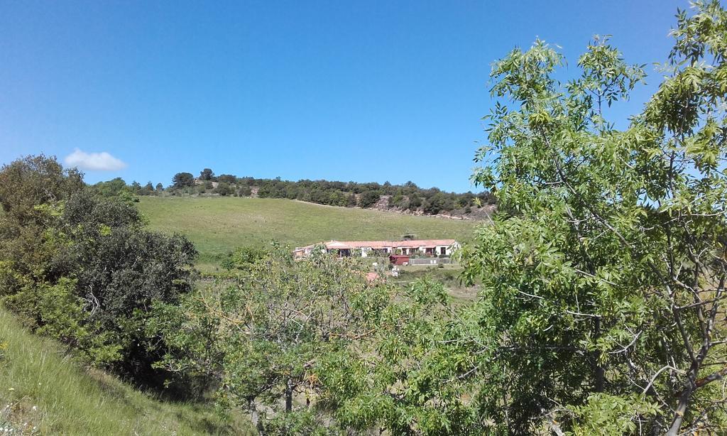 Gites "Entre Les Vignes" Tourreilles Exteriér fotografie