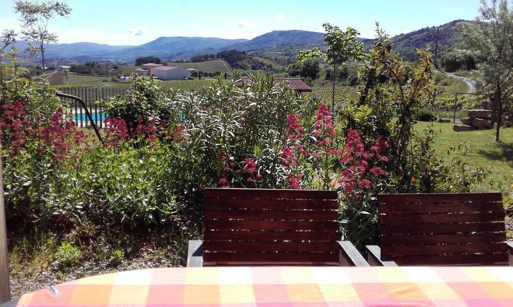 Gites "Entre Les Vignes" Tourreilles Exteriér fotografie