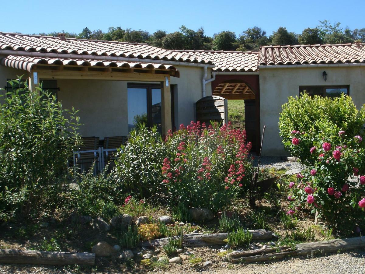 Gites "Entre Les Vignes" Tourreilles Exteriér fotografie